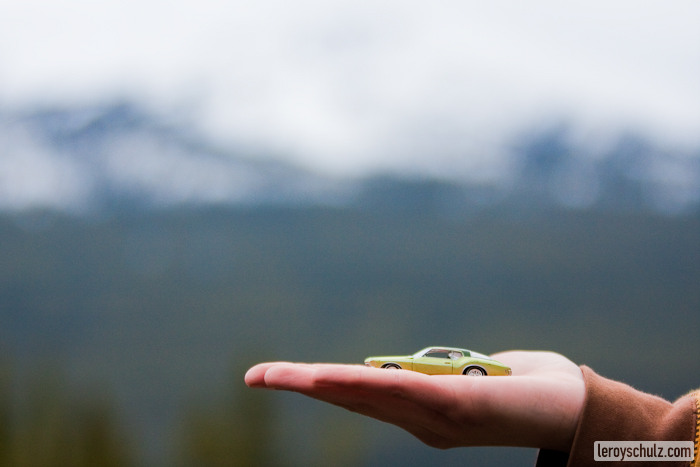 Looking at the Maligne Range