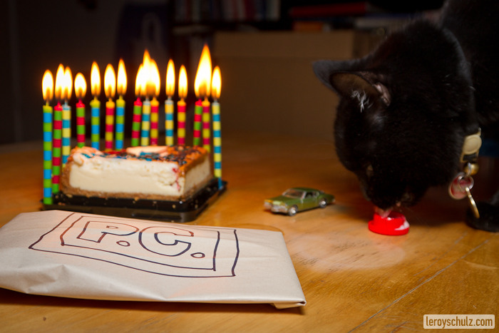 Partying Up At PC The Cat’s 15th Birthday!