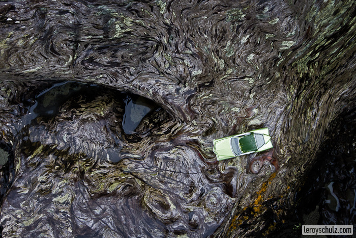 Checking Out The Driftwood